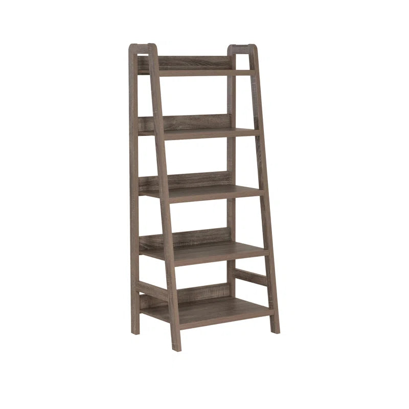 Eiland Ladder Bookcase | Modern 5-Tier Leaning Storage Shelf