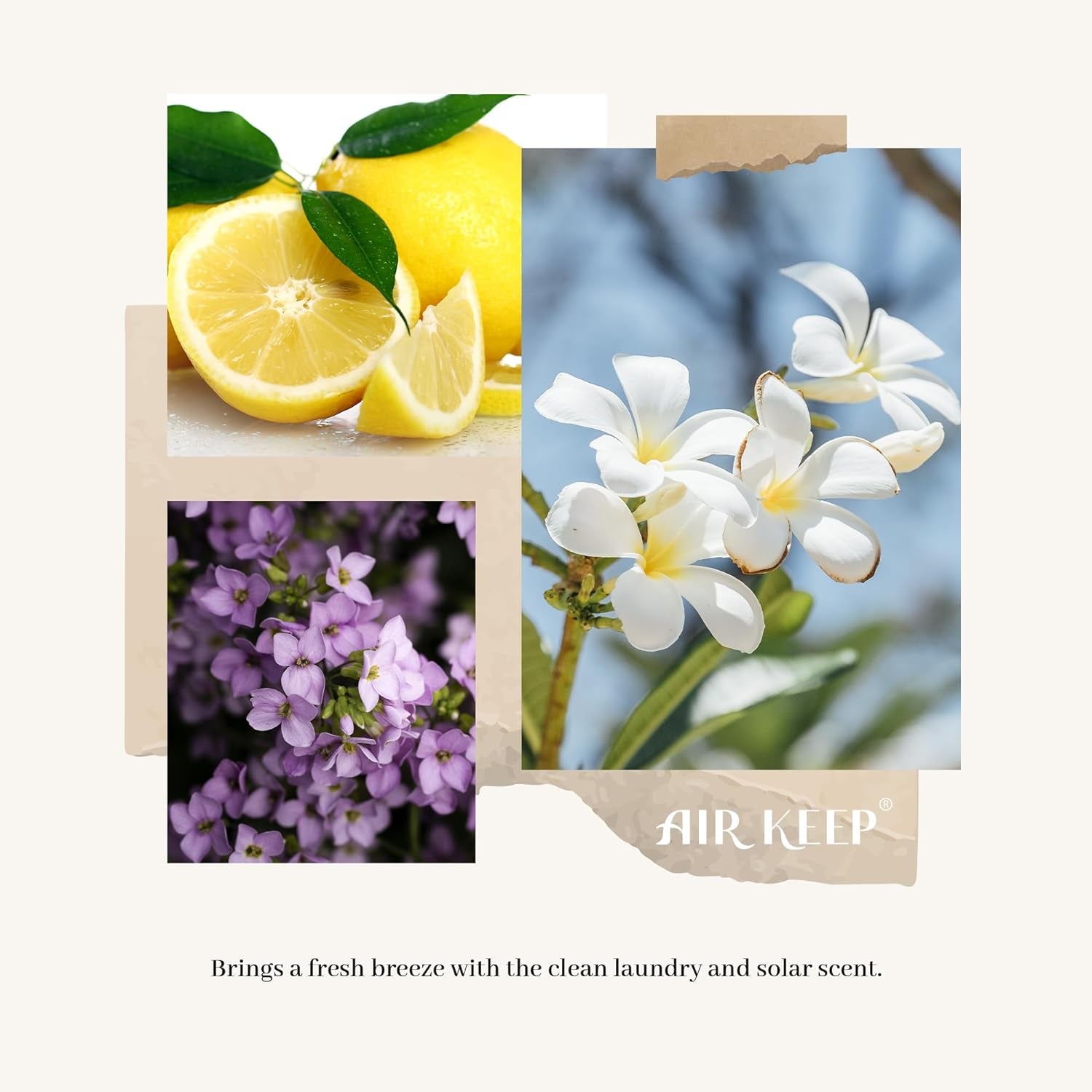 Clean Linen Reed Diffuser Set | Home Fragrance & Bathroom Decor